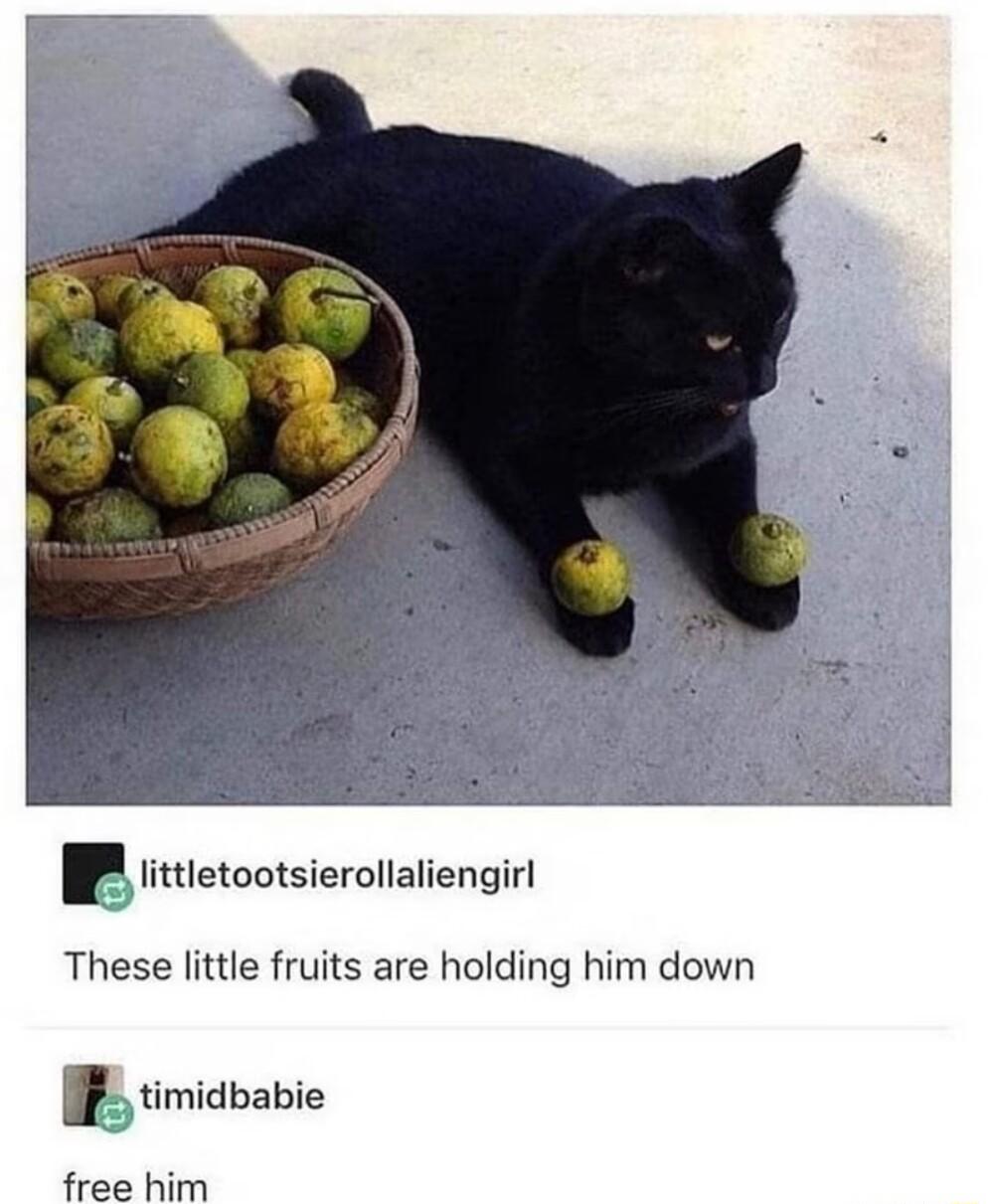 P iittetootsierollaliengirl These little fruits are holding him down I timidbabie free him