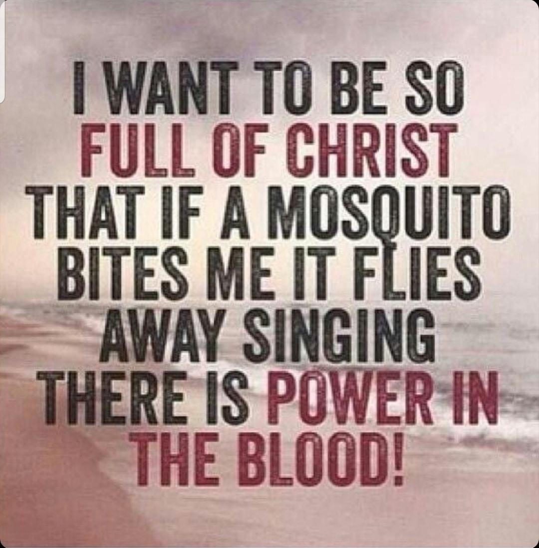 WANT TO BE SO FULL OF CHRIST THAT IF A MOSQUITO BITES ME IT FLIES AWAY SINGING THERE IS POWERIN THE BLOOD B