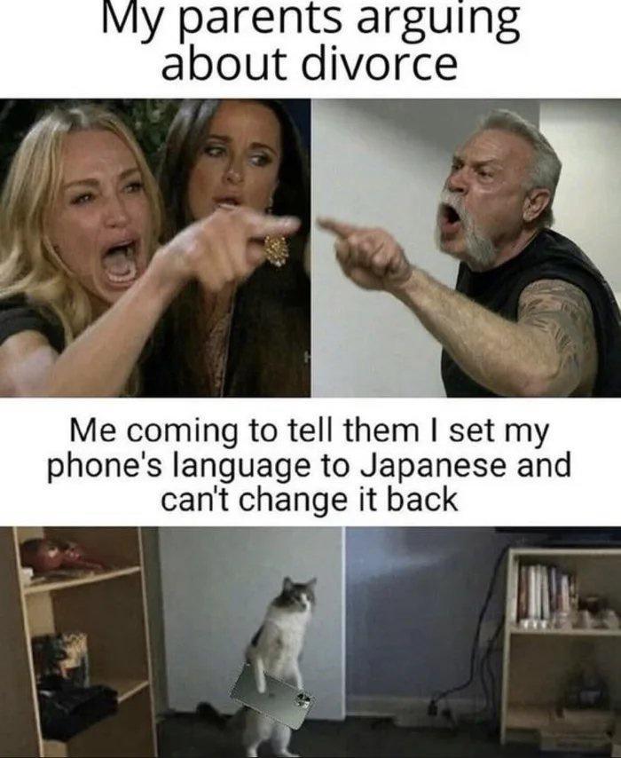 VIy parents arguing about divorce Me coming to tell them set my phones language to Japanese and cant change it back