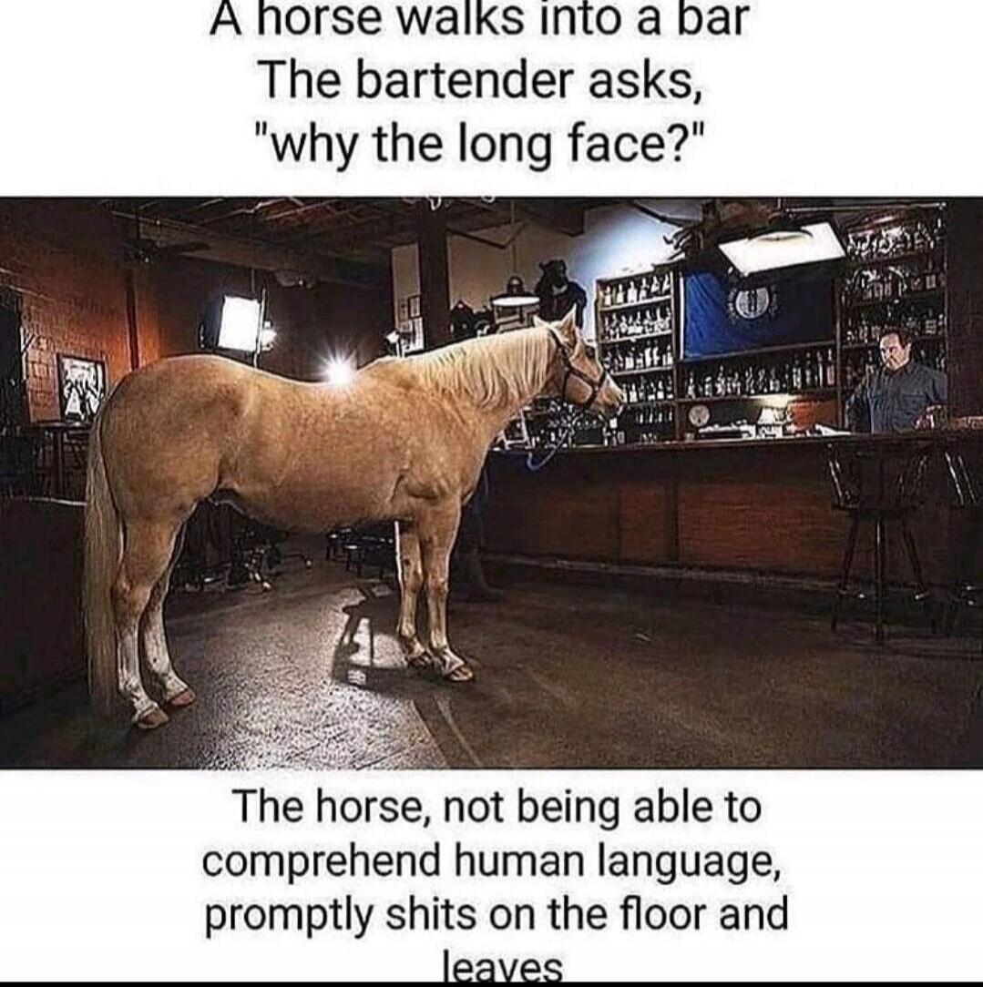 A horse walks into a bar
The bartender asks, 