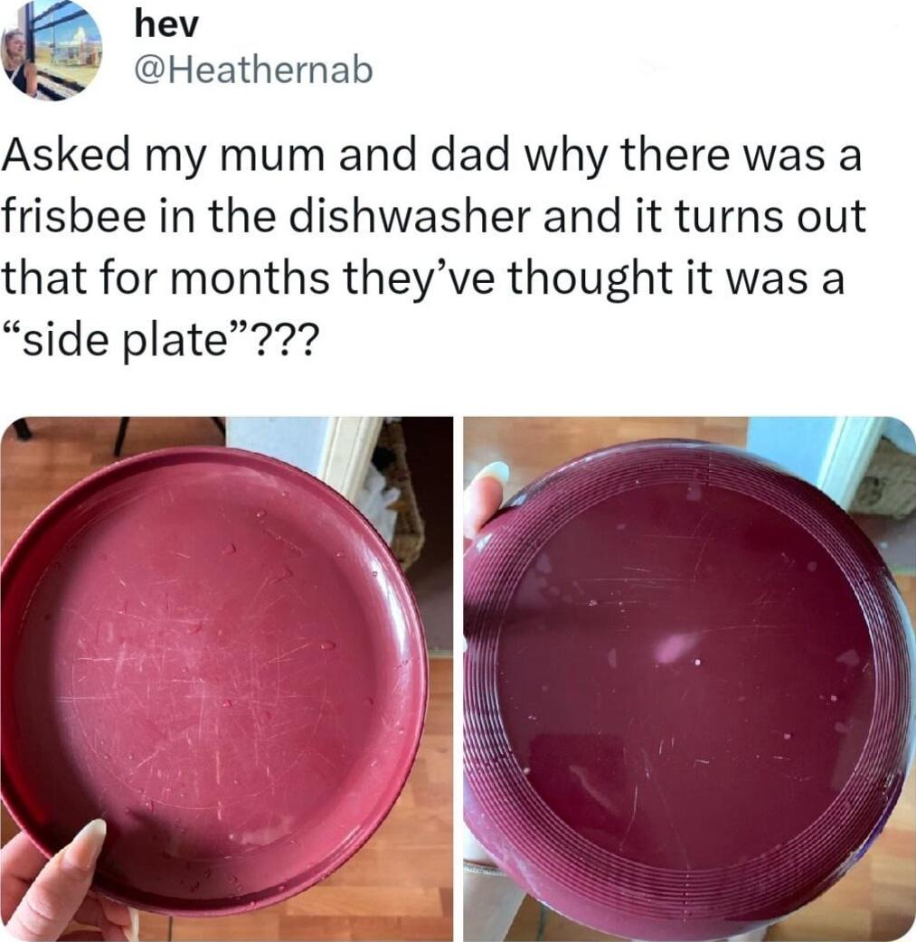 hev Heathernab Asked my mum and dad why there was a frisbee in the dishwasher and it turns out that for months theyve thought it was a side plate