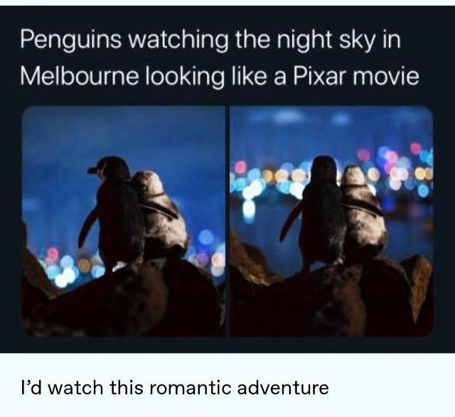 REI e VIIa iRV olallale R aRalle a1 S SYA a Melbourne looking like a Pixar movie 2 gt Ys Id watch this romantic adventure