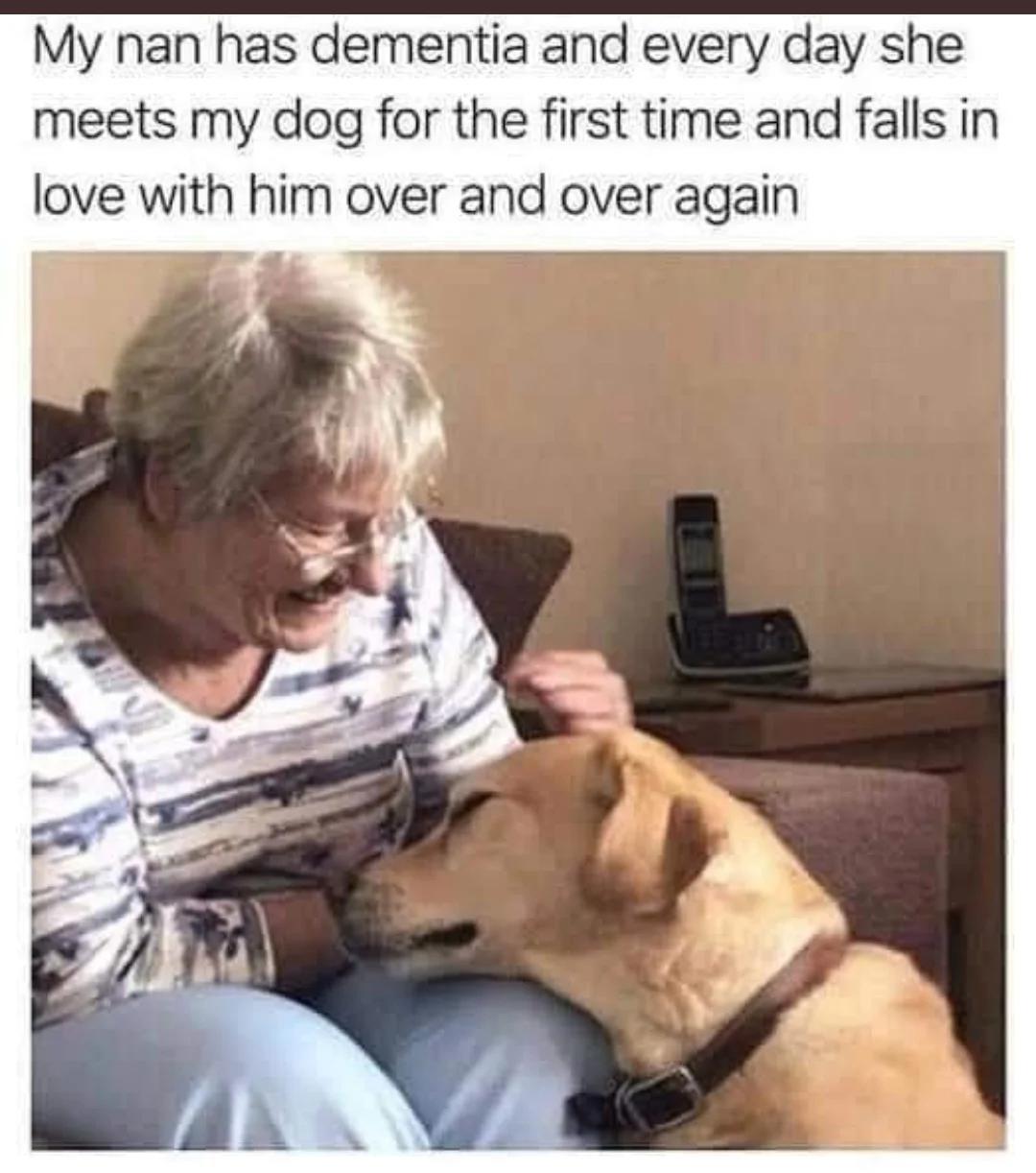 My nan has dementia and every day she meets my dog for the first time and falls in love with him over and over again