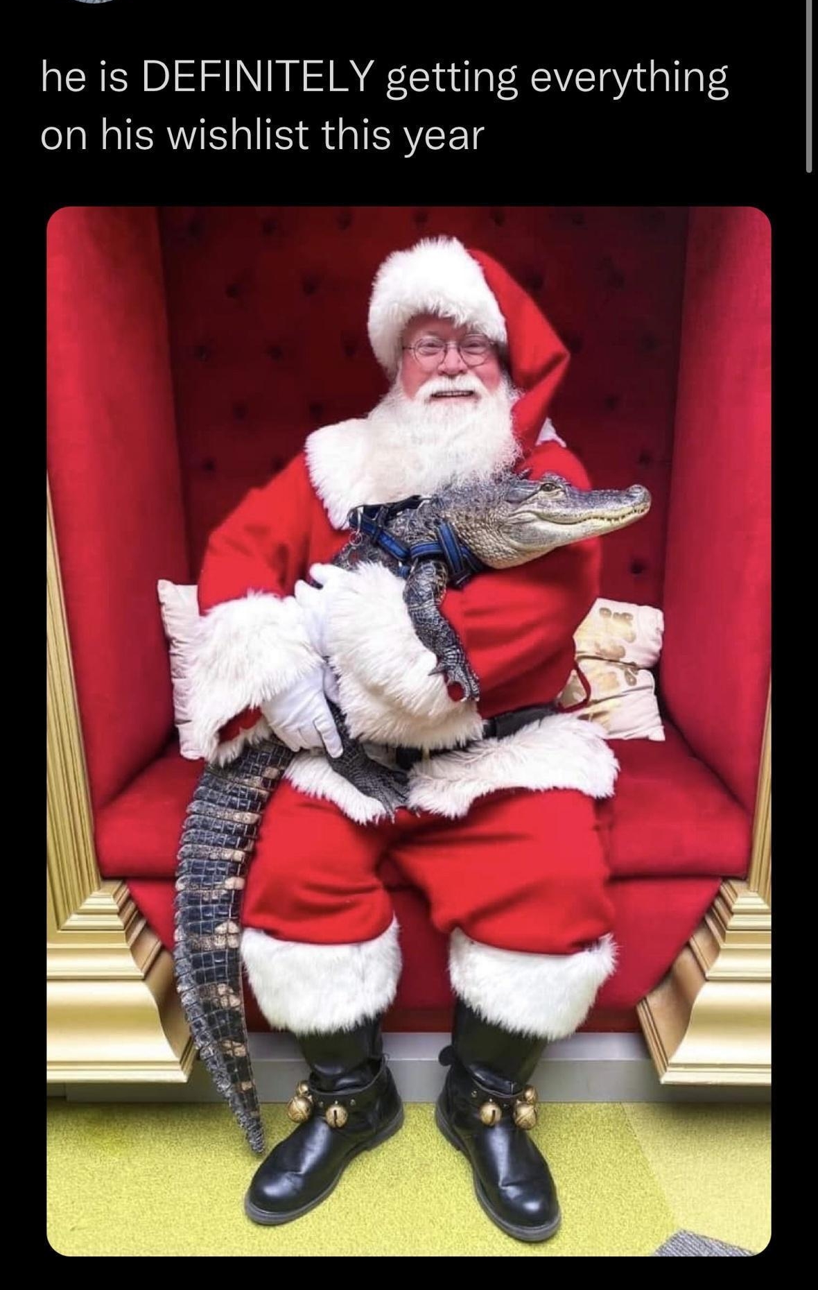 Gators Daily B GatorsDaily he is DEFINITELY getting everything on his wishlist this year