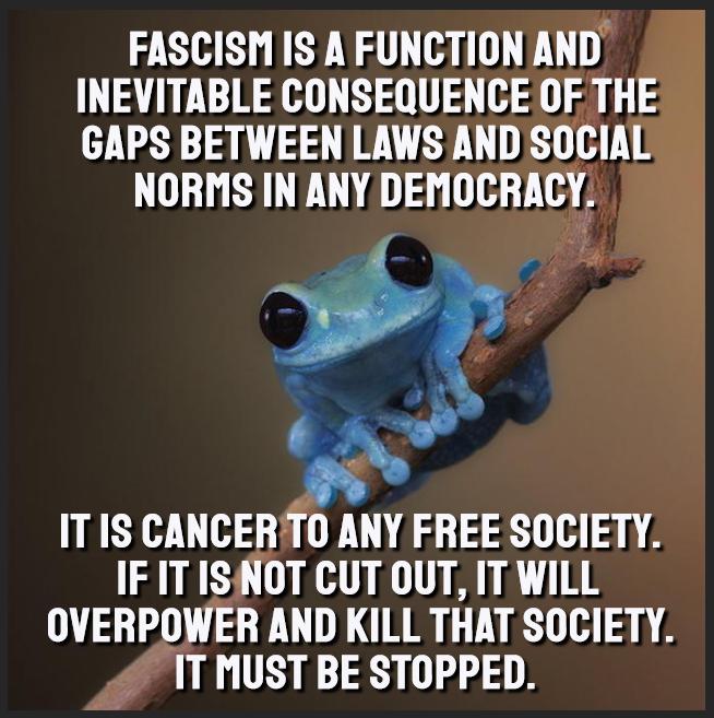 FASCISM IS A FUNCTION AND INEVITABLE CONSEQUENCE OF TH GAPS BETWEEN LAWS ANDSOCIA NORMS IN ANYDEMOCRACY J A 1 ITIS CANCERITO ANY FREE SOCIETY IF IT ISNOT CUT OUT IT WILL OVERPOWER AND KILL THAT SOCIETY fT MUST BE STOPPED