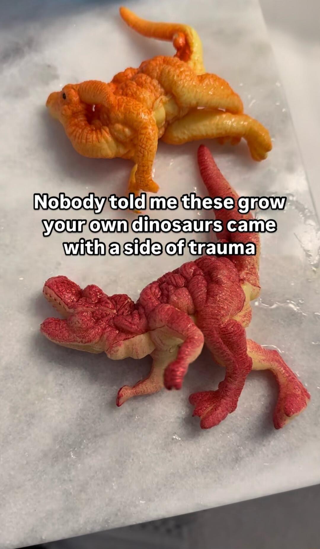 Nobody told me these grow your own dinosaurs came with a side of trauma