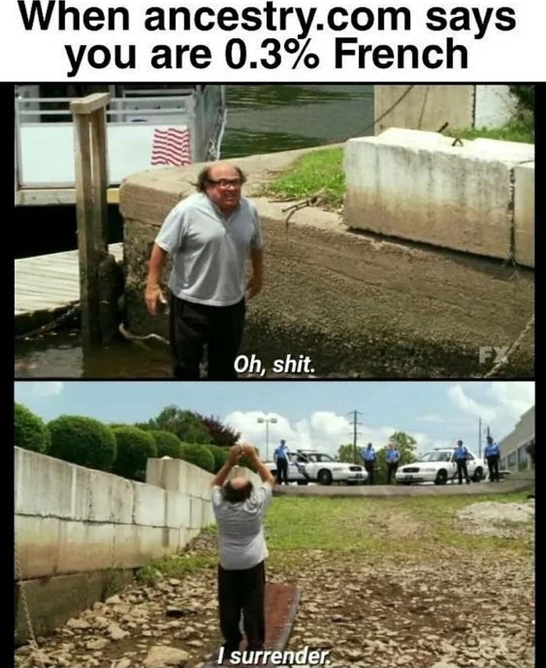 When ancestrycom says you are 03 Fi h