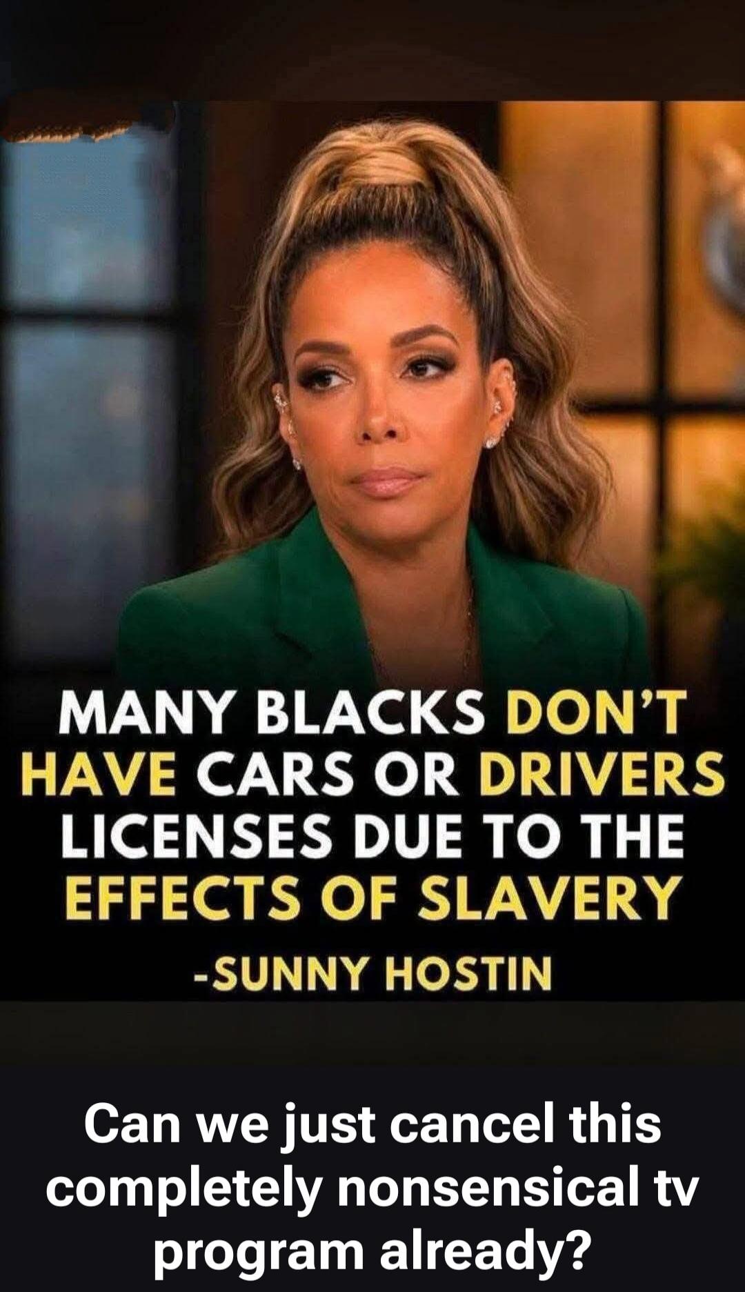 MANY BLACKS DON'T HAVE CARS OR DRIVERS LICENSES DUE TO THE EFFECTS OF SLAVERY -SUNNY HOSTIN Can we just cancel this completely nonsensical tv program already?