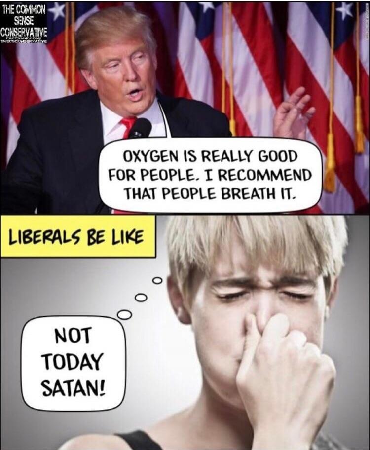 THE COMMON SENSE CONSERVATIVE FACEBOOK.COM/THECOMMONSENSECONSERVATIVE OXYGEN IS REALLY GOOD FOR PEOPLE. I RECOMMEND THAT PEOPLE BREATH IT. LIBERALS BE LIKE NOT TODAY SATAN!