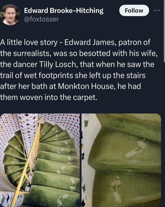 g Edward Brooke Hitching e foxtosser A little love story Edward James patron of GERIVCEIN SRR o Cl AL I TSR N the dancer Tilly Losch that when he saw the trail of wet footprints she left up the stairs after her bath at Monkton House he had them woven into the carpet L