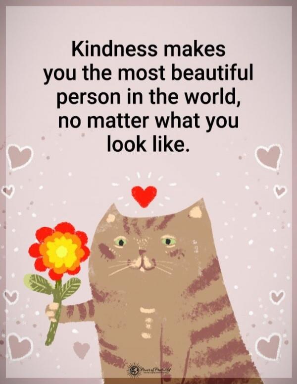 Kindness makes you the most beautiful person in the world, no matter what you look like.