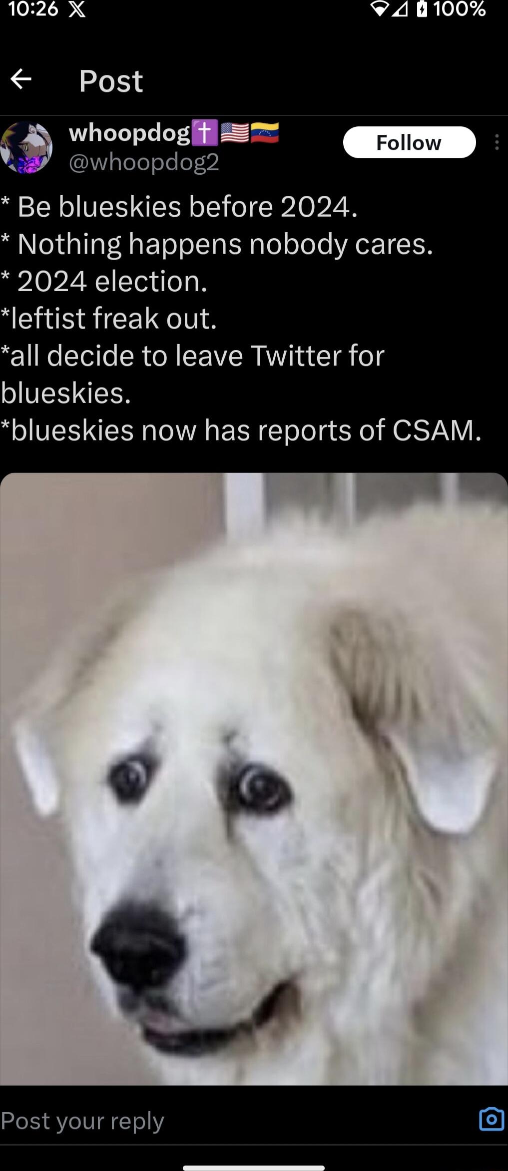 whoopdogffi I TeTeTsteler Be blueskies before 2024 Nothing happens nobody cares 2024 election leftist freak out all decide to leave Twitter for V NEER blueskies now has reports of CSAM Post your reply