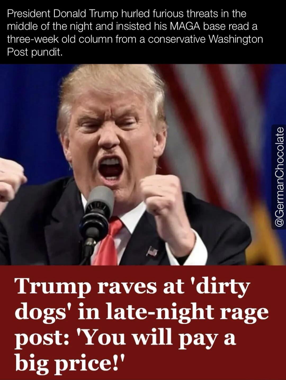 President Donald Trump hurled furious threats in the middle of the night and insisted his MAGA base read a three-week old column from a conservative Washington Post pundit. Trump raves at 'dirty dogs' in late-night rage post: 'You will pay a big price!'