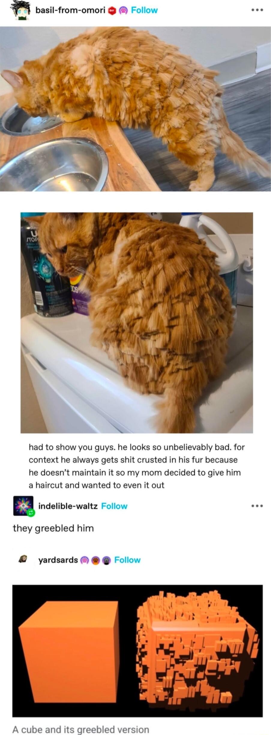 basil from omori Follow had to show you guys he looks so unbelievably bad for context he always gets shit crusted in his fur because he doesnt maintain it so my mom decided to give him a haircut and wanted to even it out indelible waltz Follow e they greebled him yardsards Follow A cube and its greebled version