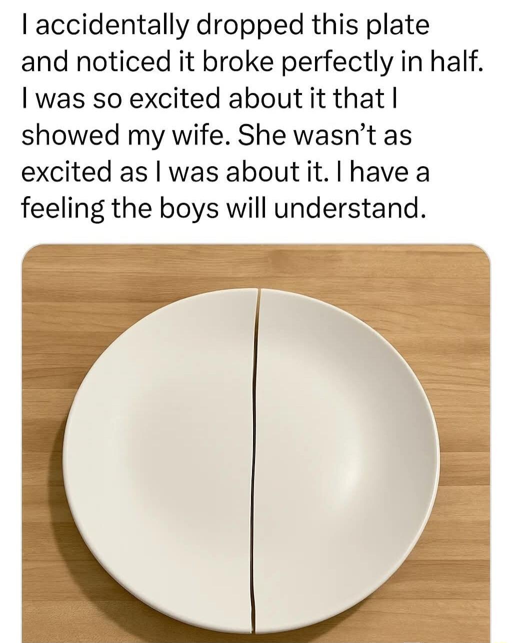 I accidentally dropped this plate and noticed it broke perfectly in half. I was so excited about it that I showed my wife. She wasn't as excited as I was about it. I have a feeling the boys will understand.