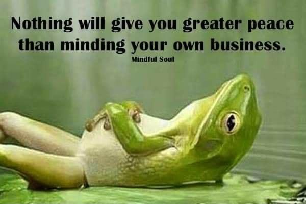 Nothing will give you greater peace than minding your own business Mindful Soul