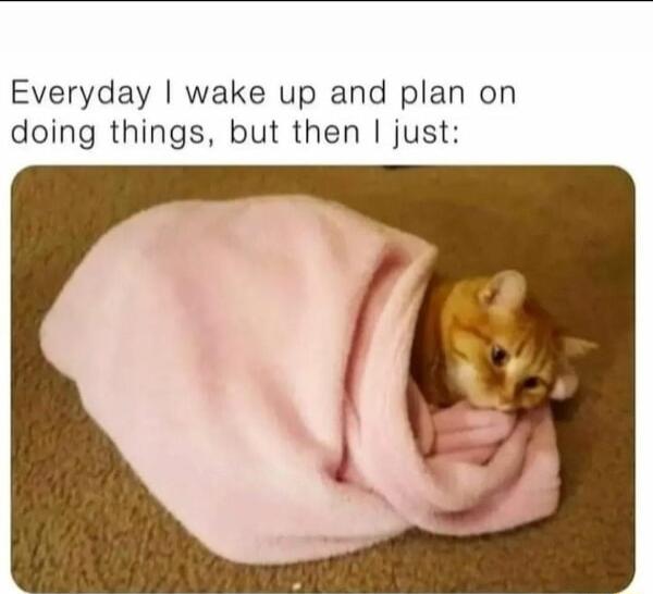 Everyday wake up and plan on doing things but then just