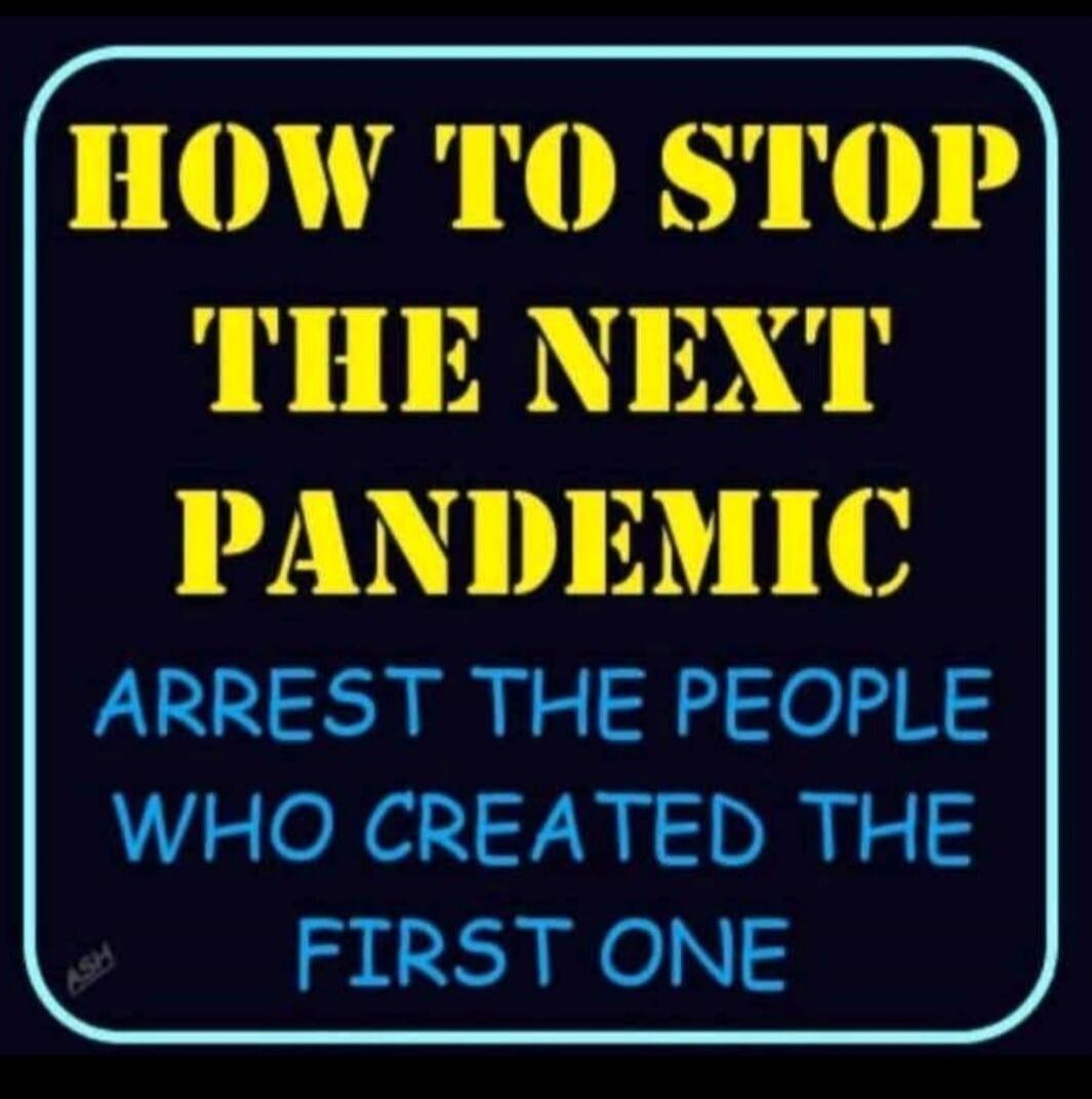 HOW TO STOP THE NEXT PANDEMIC ARREST THE PEOPLE WHO CREATED THE FIRST ONE