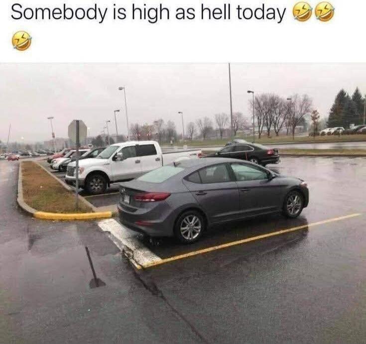 Somebody is high as hell today