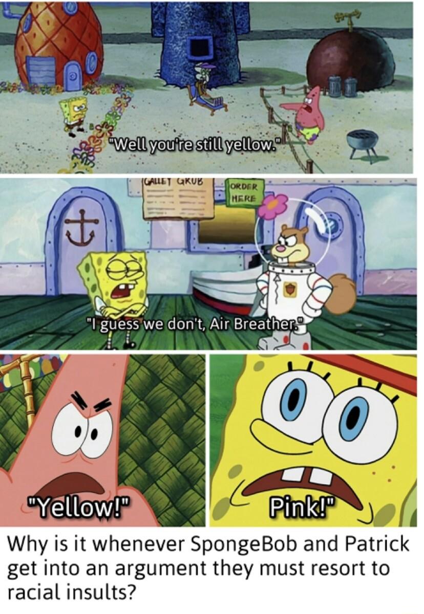 Why is it whenever SpongeBob and Patrick get into an argument they must resort to racial insults