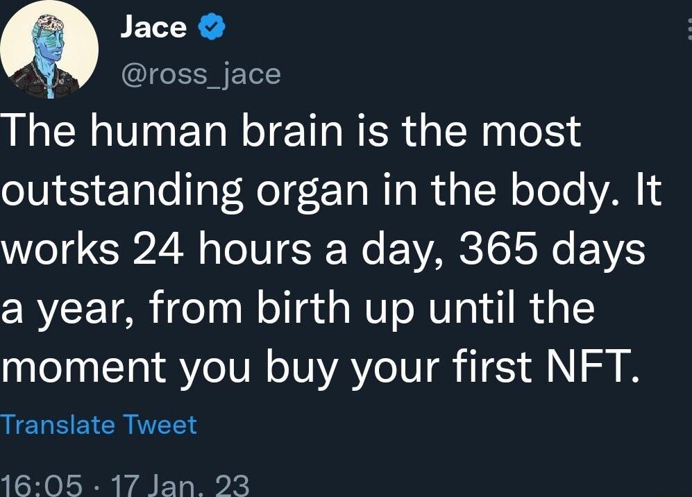 Jace b I The human brain is the most outstanding organ in the body It el G2 M eV Wo VARG TG ToNe VS a year from birth up until the moment you buy your first NFT LELSEICRNTTRN LR rAr K