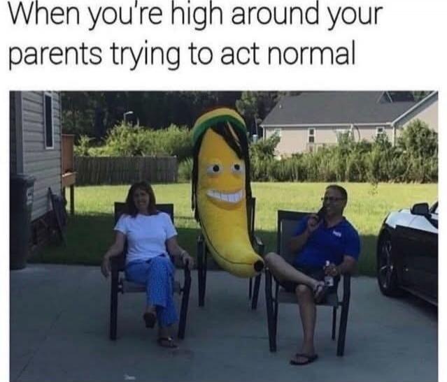 When you’re high around your parents trying to act normal
