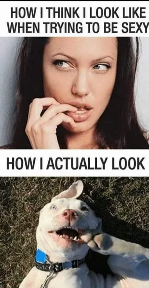 HOW I THINK I LOOK LIKE WHEN TRYING TO BE SEXY HOW I ACTUALLY LOOK