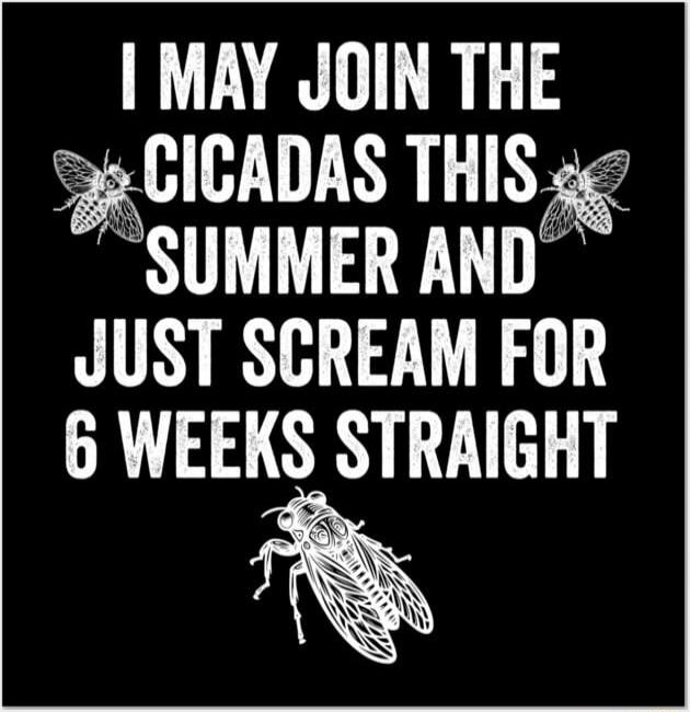 I MAY JOIN THE CICADAS THIS SUMMER AND JUST SCREAM FOR 6 WEEKS STRAIGHT