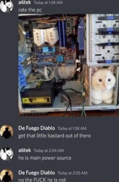 2 2 abtek Today at 158 AM rate the pc De Fuego Diablo Today at 158 AM get that little bastard out of there abtek Today at 204 AM he is main power source De Fuego Diablo Today at 205 AM no the FUCK he is not