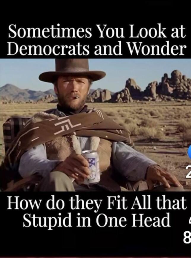 Sometimes You Look at Democrats and Wonder How do they Fit All that Stupid in One Head