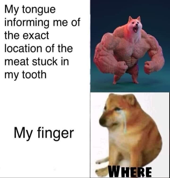 My tongue informing me of the exact location of the meat stuck in my tooth My finger