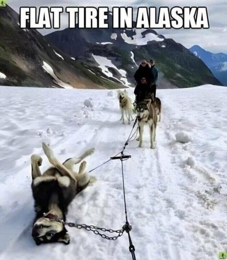 FLAT TIRE IN ALASKA