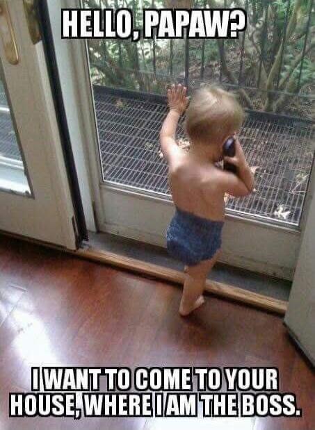 HELLO, PAPAW? I WANT TO COME TO YOUR HOUSE, WHERE I AM THE BOSS.