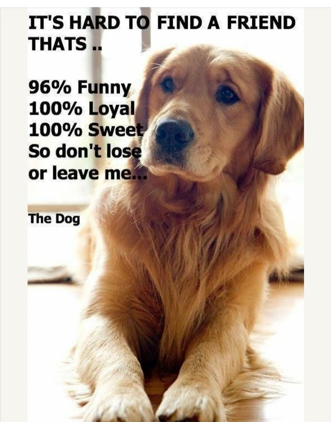 IT'S HARD TO FIND A FRIEND THATS .. 96% Funny 100% Loyal 100% Sweet So don't lose or leave me... The Dog