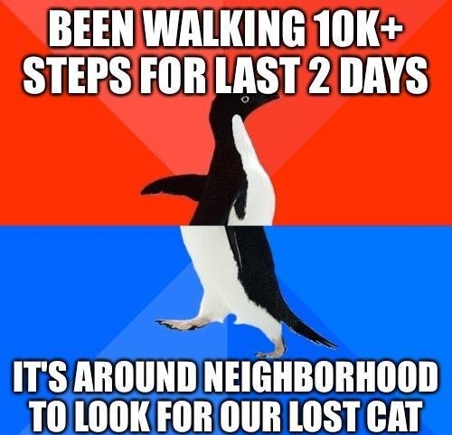 BEEN WALKING 10K STEPS FOR LAST 2 DAYS y X ITS AROUND NEIGHBORHOOD T0 LOOK FOROUR LOST CAT mmmmmm