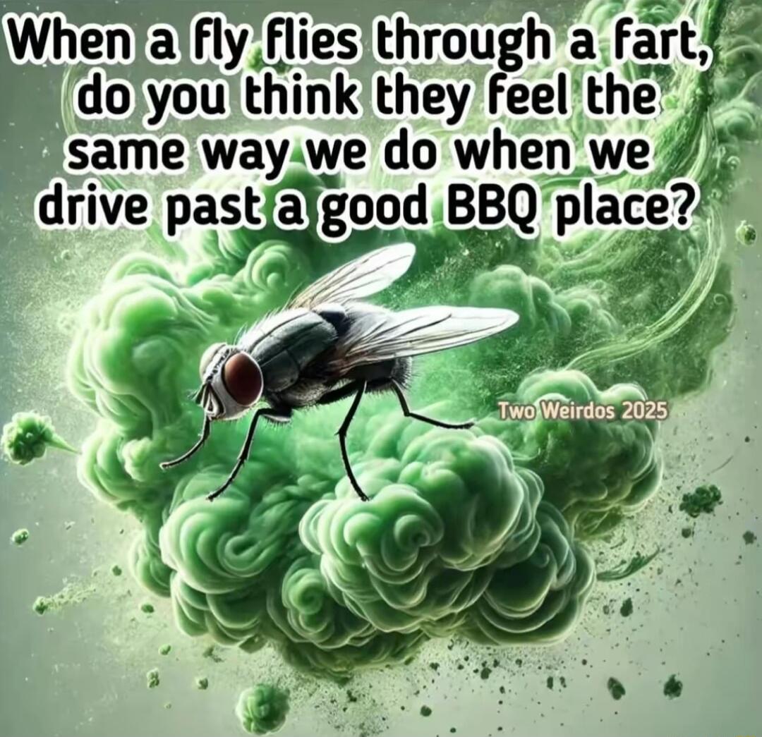 dojyoul think lhey eel the same waywe do when drive pastfalgood BB