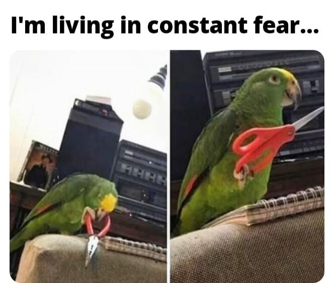 I'm living in constant fear...