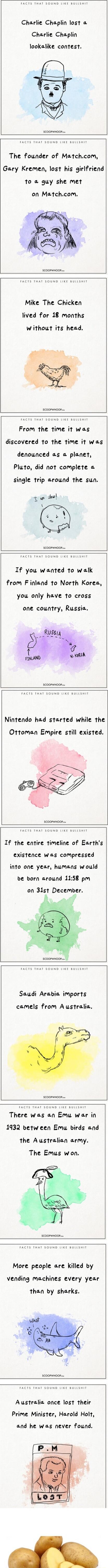 Charlie Chaplin lost a Charlie Chaplin lookalike contest.

The founder of Match.com, Gary Kremen, lost his girlfriend to a guy she met on Match.com.

Mike The Chicken lived for 18 months without his head.

From the time it was discovered to the time it was demoted as a planet, Pluto did not complete a single trip around the sun.

If you wanted to w