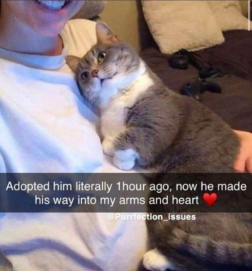 atelelo Cle Ty N1 CTE IR Ly oV Yo oM TollA R FoTe Y his way into my arms and heart CUMEETTTEY