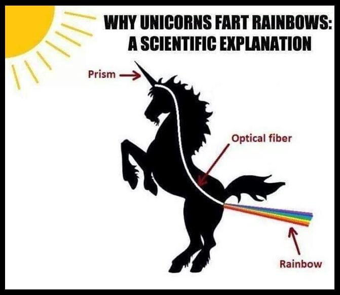 _ WHY UNICORNS FART RAINBOWS A SCIENTIFIC EXPLANATION Optical fiber