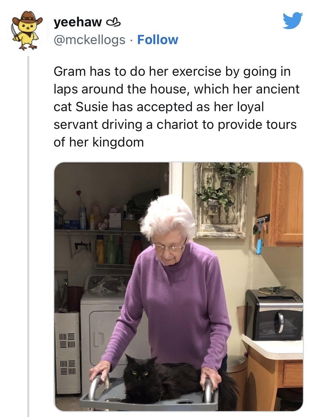 yeehaw mckellogs Follow Gram has to do her exercise by going in laps around the house which her ancient cat Susie has accepted as her loyal servant driving a chariot to provide tours of her kingdom 706 PM Apr 3 2020 m Read the full conversation on Twitter 23 Q 31K O Reply 1 Share Read 59 replies