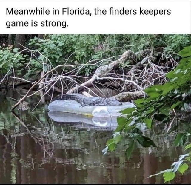 Meanwhile in Florida the finders keepers game is strong