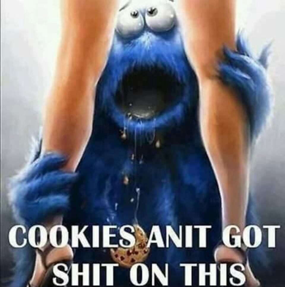 COOKIES ANIT GOT SHIT ON THIS
