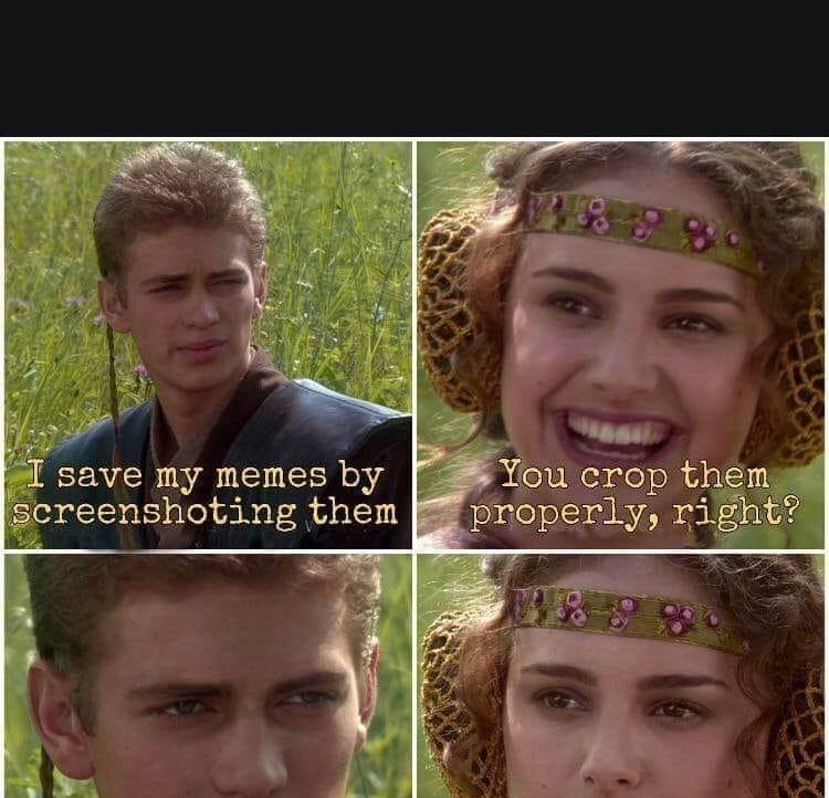 save my memes by