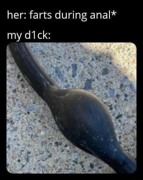 her: farts during anal*\nmy d1ck: