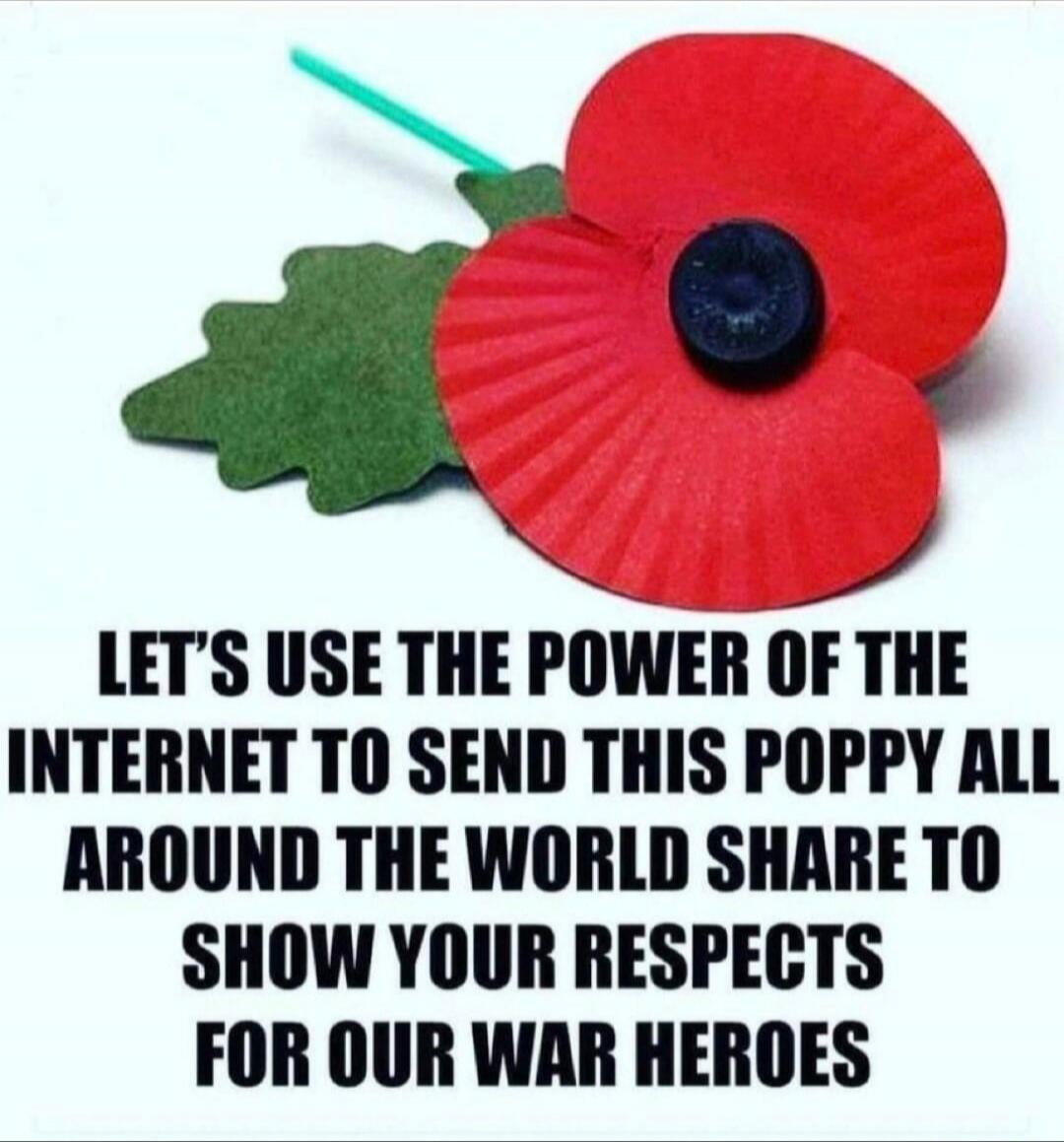 LET'S USE THE POWER OF THE INTERNET TO SEND THIS POPPY ALL AROUND THE WORLD SHARE TO SHOW YOUR RESPECTS FOR OUR WAR HEROES