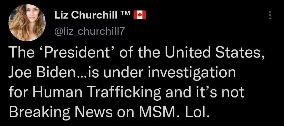 Liz Churchill liz_churchill The President of the United States Joe Bidenis under investigation for Human Trafficking and its not Breaking News on MSM Lol 1117 PM 17 Nov 22 Twitter for iPhone