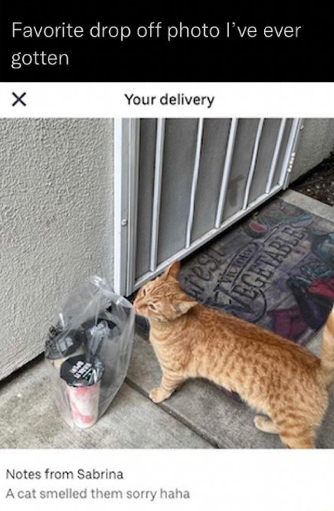l N oloNo sl o Tel e W MV R VTg gotten X Your delivery