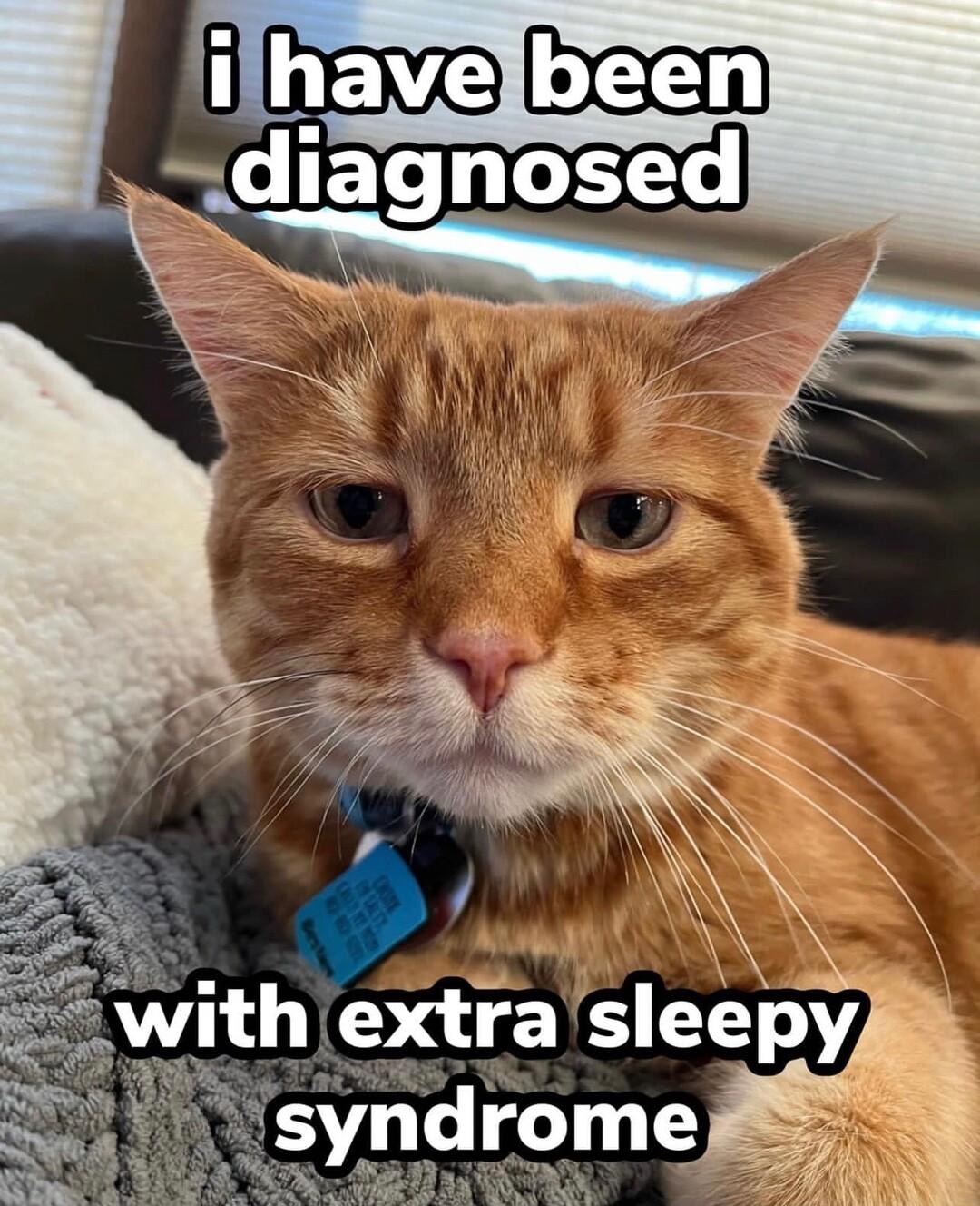 hextra slepy yndrome