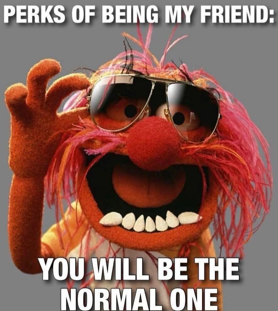 PERKS OF BEING MY FRIEND: YOU WILL BE THE NORMAL ONE